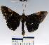  ( - YB-BCI48510)  @14 [ ] No Rights Reserved  Unspecified Unspecified