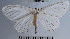  ( - YB-BCI31159)  @11 [ ] No Rights Reserved  Unspecified Unspecified