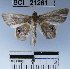  ( - YB-BCI21261)  @11 [ ] No Rights Reserved  Unspecified Unspecified