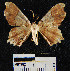  ( - YB-BCI21960)  @12 [ ] No Rights Reserved  Unspecified Unspecified