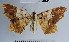  ( - YB-BCI31641)  @11 [ ] No Rights Reserved  Unspecified Unspecified