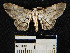  ( - YB-BCI23259)  @13 [ ] No Rights Reserved  Unspecified Unspecified