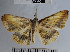  ( - YB-BCI30059)  @11 [ ] No Rights Reserved  Unspecified Unspecified