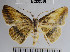  ( - YB-BCI32086)  @14 [ ] No Rights Reserved  Unspecified Unspecified