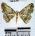  ( - YB-BCI36359)  @13 [ ] No Rights Reserved  Unspecified Unspecified