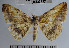  ( - YB-BCI37527)  @11 [ ] No Rights Reserved  Unspecified Unspecified