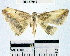  ( - YB-BCI37917)  @13 [ ] No Rights Reserved  Unspecified Unspecified