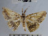  ( - YB-BCI51847)  @13 [ ] No Rights Reserved  Unspecified Unspecified