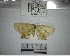  ( - YB-BCI172196)  @11 [ ] No Rights Reserved  Unspecified Unspecified