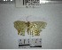  ( - YB-BCI181404)  @11 [ ] No Rights Reserved  Unspecified Unspecified