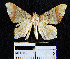  ( - YB-BCI22377)  @13 [ ] No Rights Reserved  Unspecified Unspecified