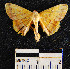  ( - YB-BCI21793)  @13 [ ] No Rights Reserved  Unspecified Unspecified