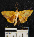 ( - YB-BCI23631)  @13 [ ] No Rights Reserved  Unspecified Unspecified
