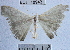  ( - YB-BCI18943)  @13 [ ] No Rights Reserved (2011) Unspecified Unspecified