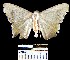  ( - YB-BCI3687)  @13 [ ] No Rights Reserved  Unspecified Unspecified