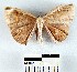  ( - YB-BCI23257)  @13 [ ] No Rights Reserved  Unspecified Unspecified
