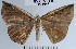  ( - YB-BCI47965)  @14 [ ] No Rights Reserved  Unspecified Unspecified