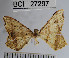  ( - YB-BCI27297)  @12 [ ] No Rights Reserved  Unspecified Unspecified