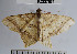 ( - YB-BCI37571)  @11 [ ] No Rights Reserved  Unspecified Unspecified