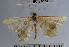  ( - YB-BCI37873)  @12 [ ] No Rights Reserved  Unspecified Unspecified