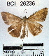  ( - YB-BCI26236)  @13 [ ] No Rights Reserved  Unspecified Unspecified