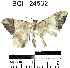  ( - YB-BCI24532)  @11 [ ] No Rights Reserved  Unspecified Unspecified