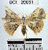  ( - YB-BCI20061)  @13 [ ] No Rights Reserved  Unspecified Unspecified