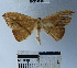  ( - YB-BCI34029)  @11 [ ] No Rights Reserved  Unspecified Unspecified