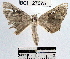  ( - YB-BCI27075)  @13 [ ] No Rights Reserved  Unspecified Unspecified