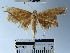  ( - YB-BCI49292)  @12 [ ] No Rights Reserved  Unspecified Unspecified