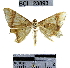  ( - YB-BCI23893)  @12 [ ] No Rights Reserved  Unspecified Unspecified