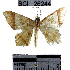  ( - YB-BCI26244)  @13 [ ] No Rights Reserved  Unspecified Unspecified