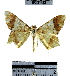  ( - YB-BCI31432)  @11 [ ] No Rights Reserved  Unspecified Unspecified