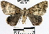  ( - YB-BCI34114)  @12 [ ] No Rights Reserved  Unspecified Unspecified