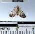  ( - YB-BCI37968)  @13 [ ] No Rights Reserved  Unspecified Unspecified
