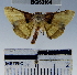  ( - YB-BCI63164)  @13 [ ] No Rights Reserved  Unspecified Unspecified