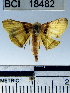  ( - YB-BCI18482)  @13 [ ] No Rights Reserved  Unspecified Unspecified