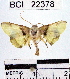  ( - YB-BCI22378)  @13 [ ] No Rights Reserved  Unspecified Unspecified