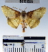  ( - YB-BCI33226)  @14 [ ] No Rights Reserved  Unspecified Unspecified