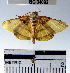  ( - YB-BCI34092)  @14 [ ] No Rights Reserved  Unspecified Unspecified