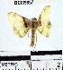  ( - YB-BCI39857)  @12 [ ] No Rights Reserved  Unspecified Unspecified