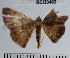  ( - YB-BCI33482)  @11 [ ] No Rights Reserved  Unspecified Unspecified