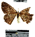  ( - YB-BCI31797)  @12 [ ] No Rights Reserved  Unspecified Unspecified