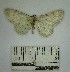  ( - YB-BCI172161)  @11 [ ] No Rights Reserved  Unspecified Unspecified