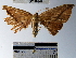  ( - YB-BCI40947)  @12 [ ] No Rights Reserved  Unspecified Unspecified