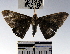  ( - YB-BCI60844)  @14 [ ] No Rights Reserved  Unspecified Unspecified