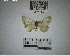  ( - YB-BCI194920)  @11 [ ] No Rights Reserved  Unspecified Unspecified