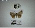  ( - YB-BCI194901)  @11 [ ] No Rights Reserved  Unspecified Unspecified
