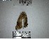  ( - YB-BCI191818)  @11 [ ] No Rights Reserved  Unspecified Unspecified