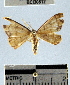  ( - YB-BCI30812)  @12 [ ] No Rights Reserved  Unspecified Unspecified